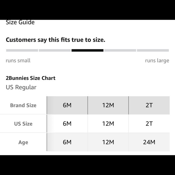 2Bunnies Girl Peony Lace Back A-Line Tiered Tutu Tulle Flower Girl Dress 12M - Picture 7 of 16